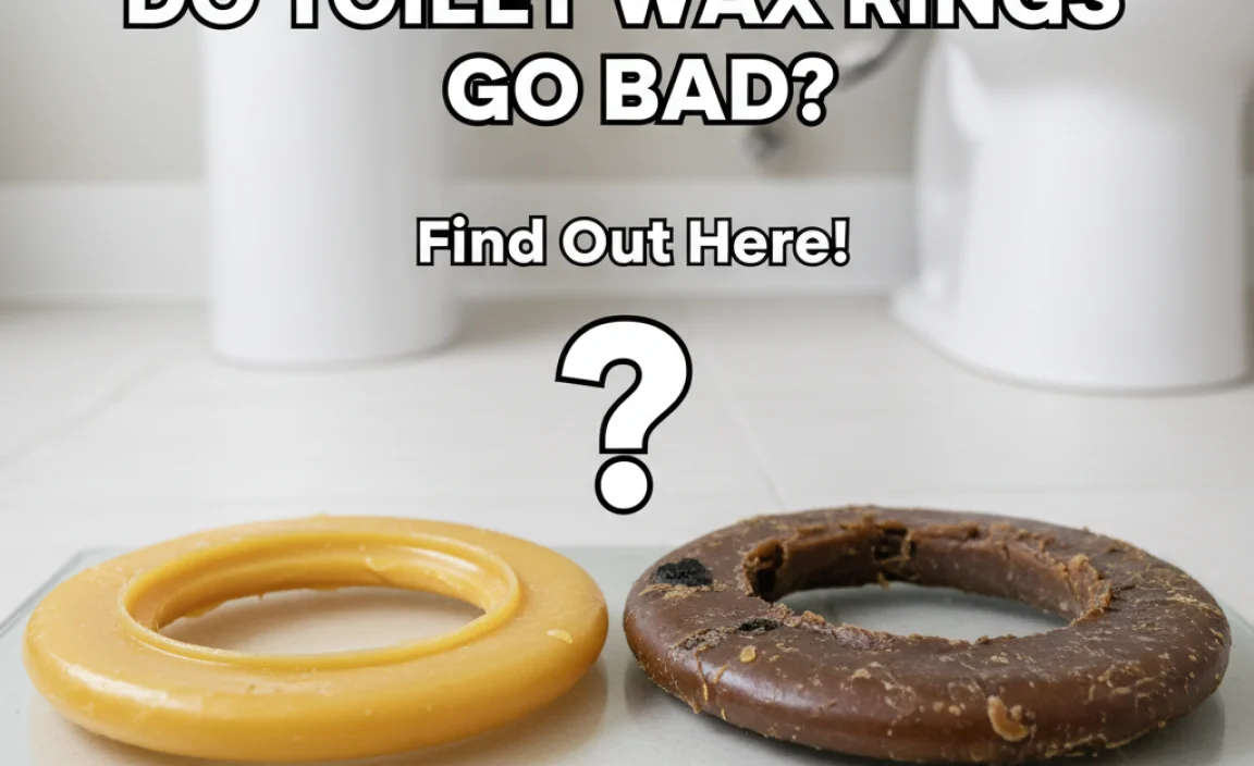 Do Toilet Wax Rings Go Bad?