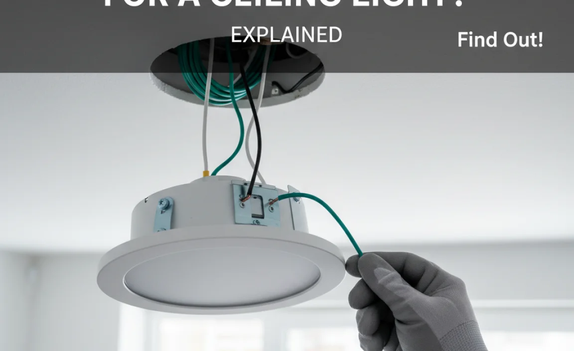 Do You Need A Ground Wire For A Ceiling Light? Explained