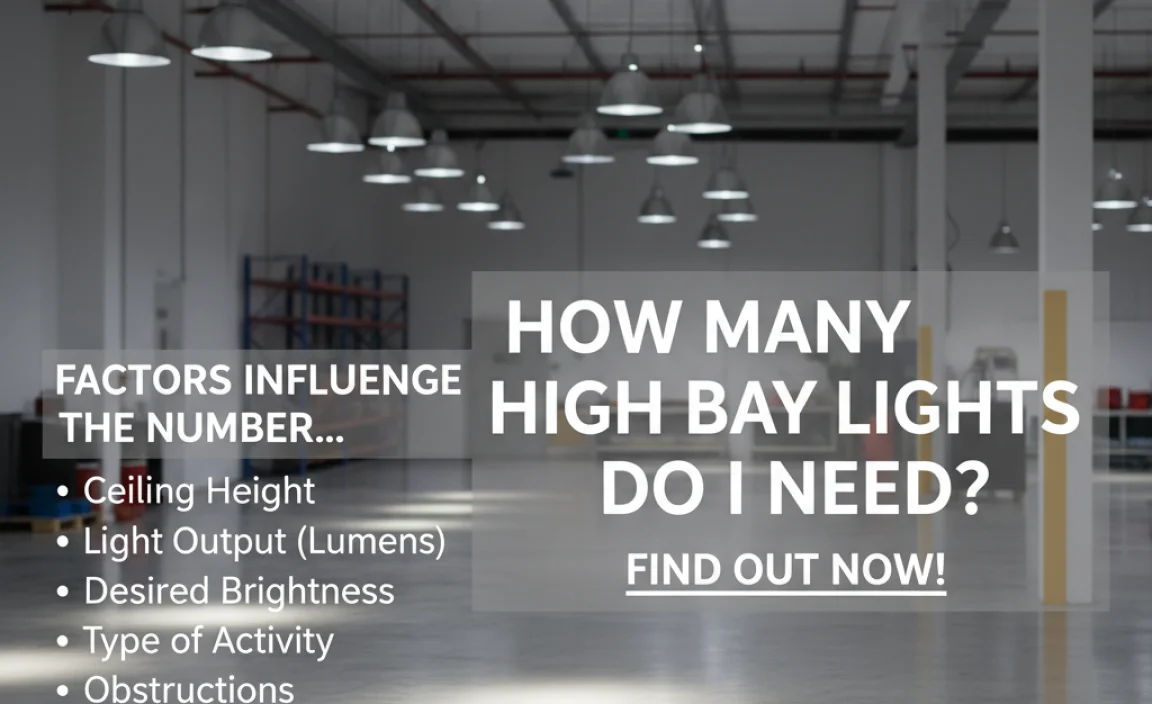 Factors Influencing the Number of High Bay Lights