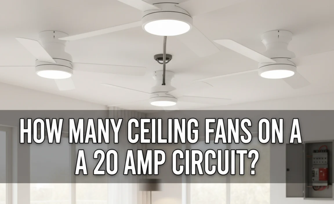 How Many Ceiling Fans On A 20 Amp Circuit? Find Out!