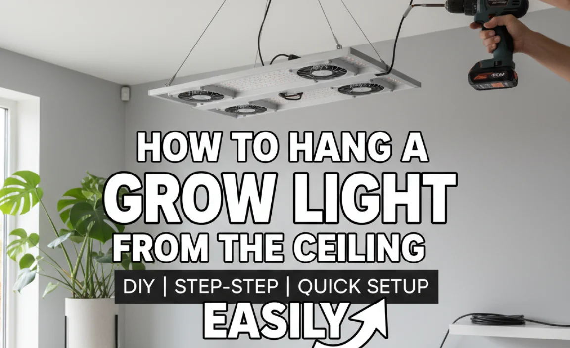 How To Hang A Grow Light From The Ceiling Easily