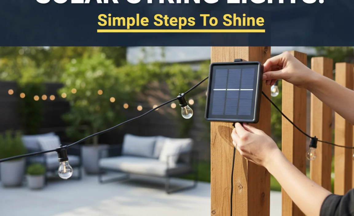 How To Hang Solar String Lights: Simple Steps To Shine