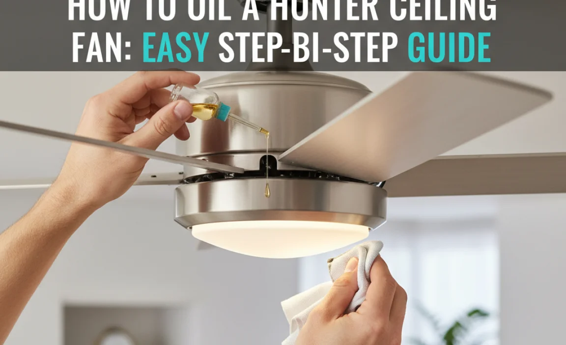 How To Oil A Hunter Ceiling Fan: Easy Step-By-Step Guide