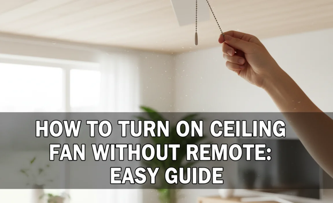 How To Turn On Ceiling Fan Without Remote: Easy Guide