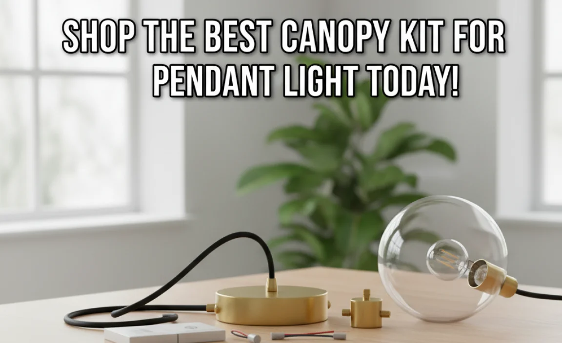 Shop The Best Canopy Kit For Pendant Light Today!