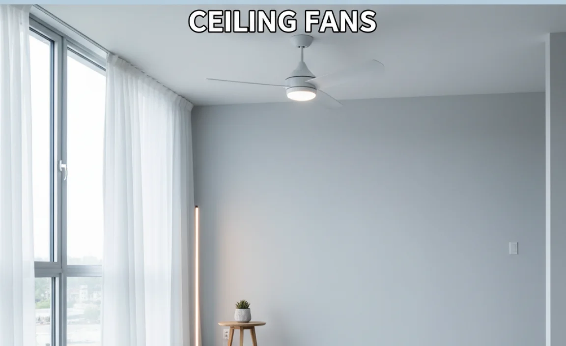Should You Run Ceiling Fans When Not In The Room?