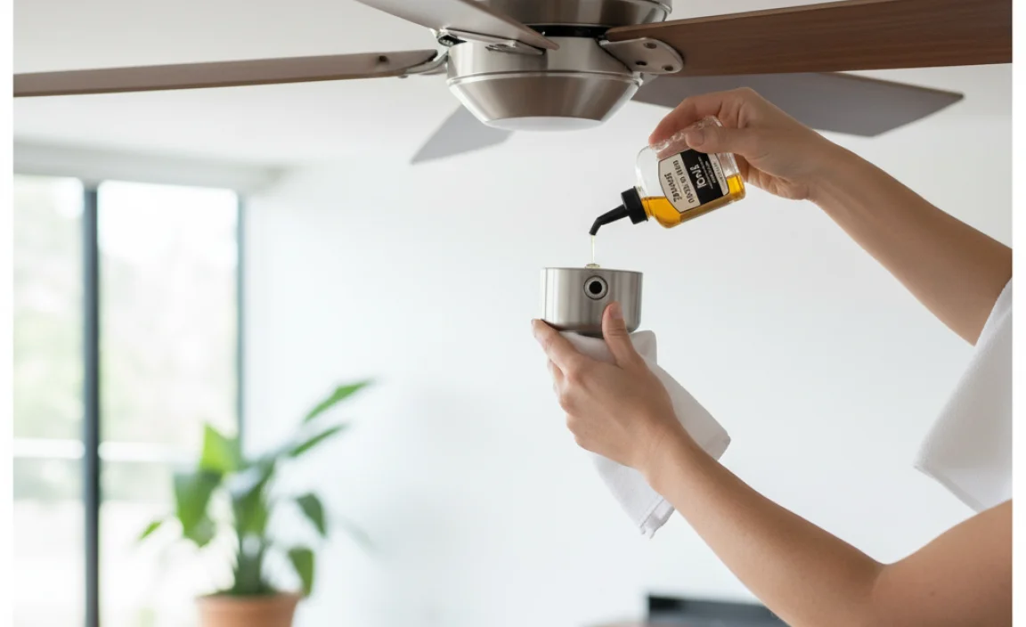 Step-by-Step Guide to Oil Your Hunter Ceiling Fan