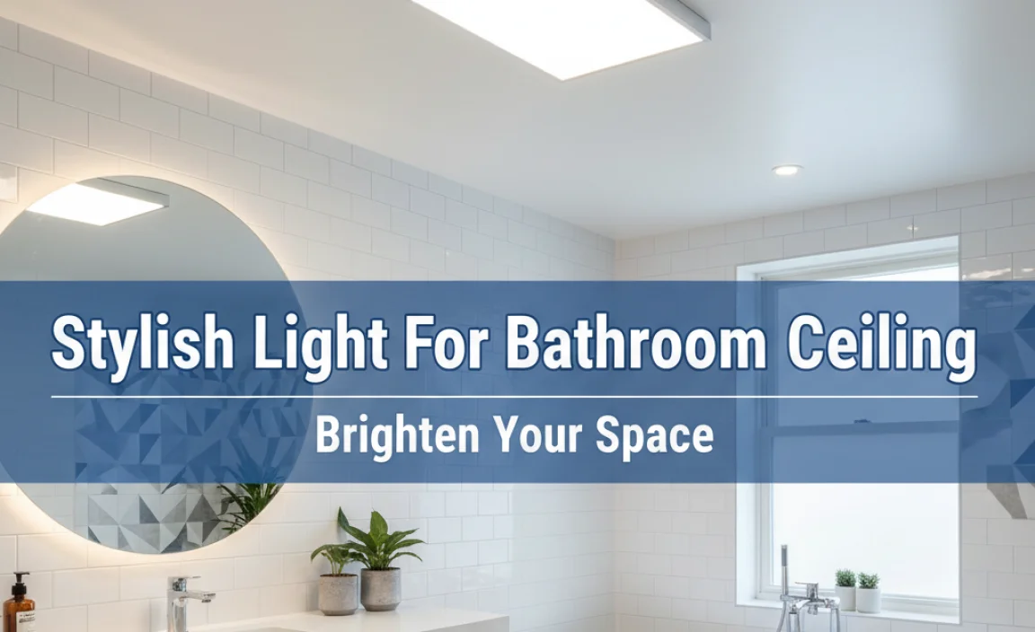 Stylish Light For Bathroom Ceiling: Brighten Your Space