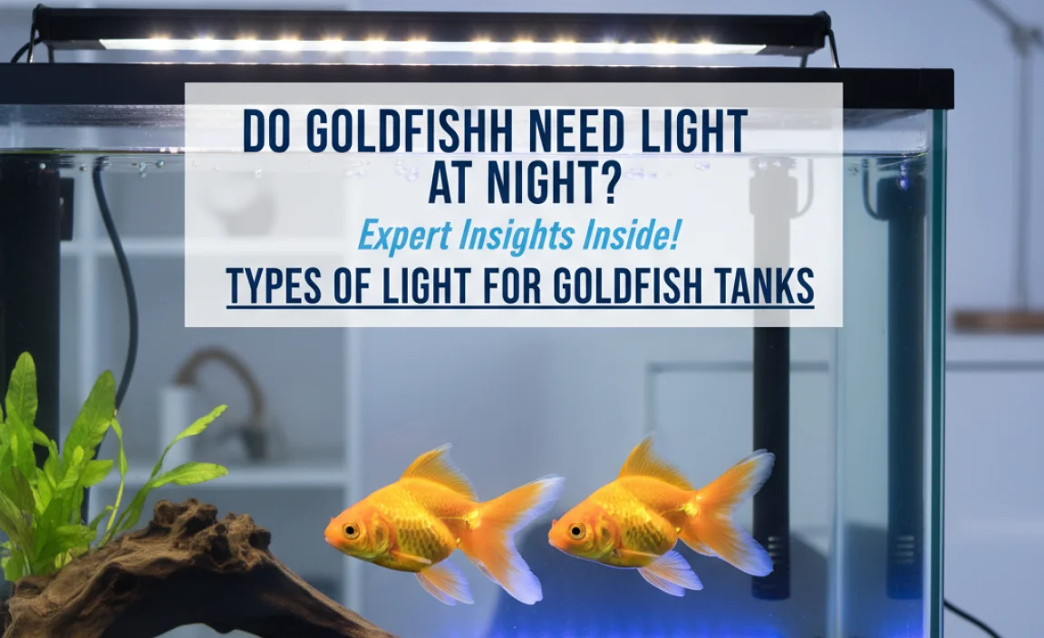 Types of Light for Goldfish Tanks