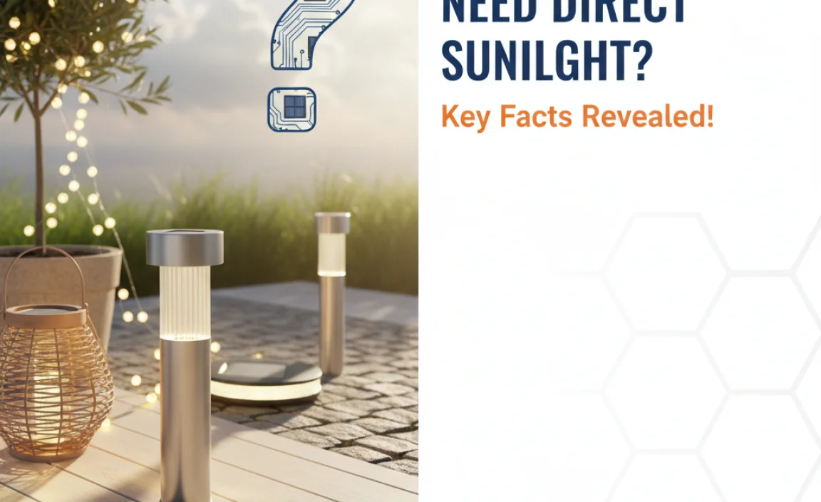 Types of Solar Lights and Sunlight Requirements