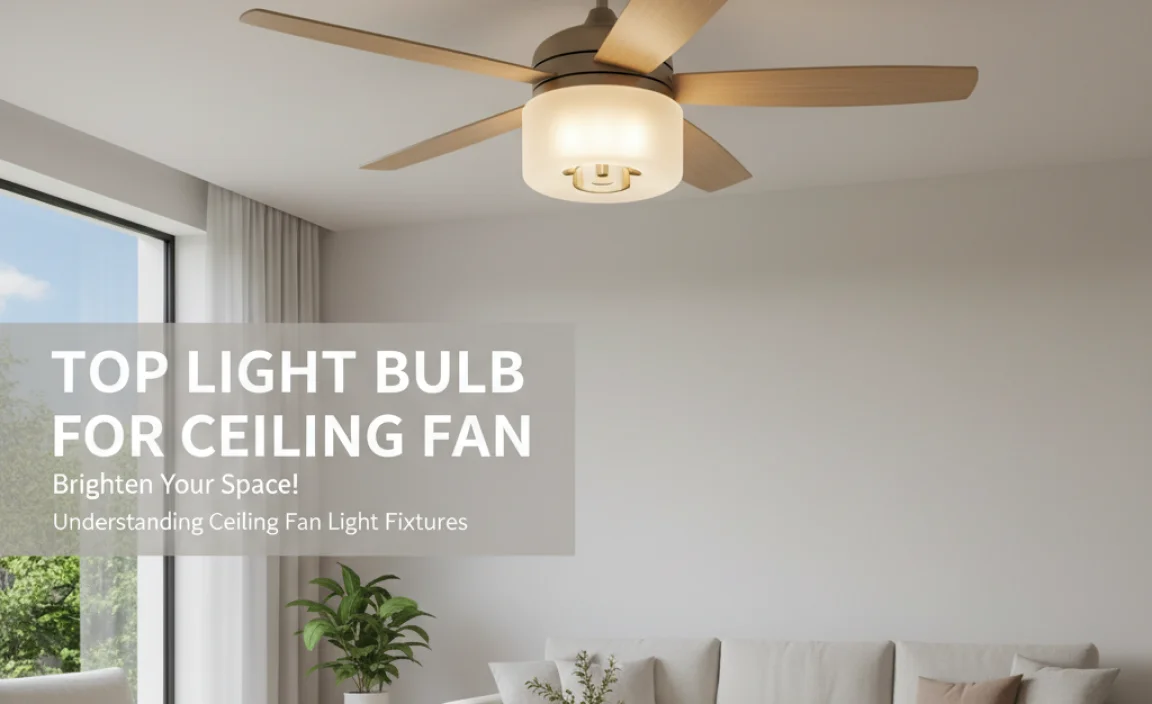 Understanding Ceiling Fan Light Fixtures