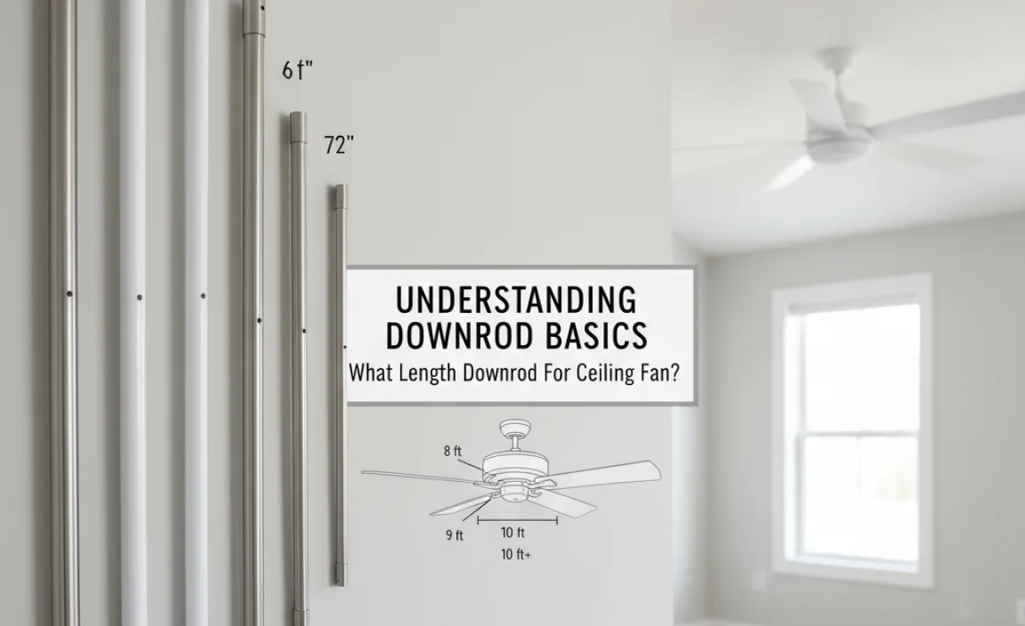 Understanding Downrod Basics