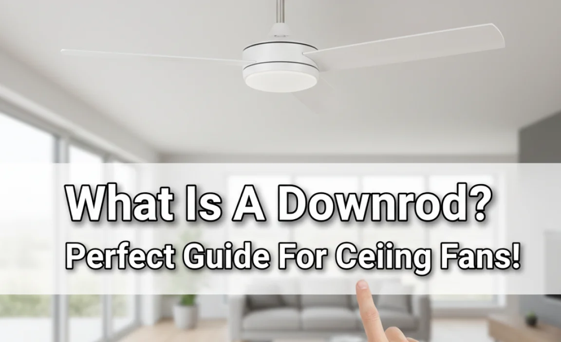 What Is A Downrod? Perfect Guide For Ceiling Fans!
