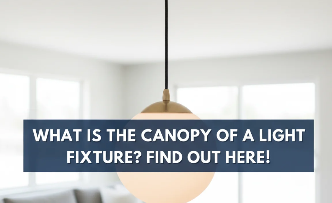 What Is The Canopy Of A Light Fixture? Find Out Here!