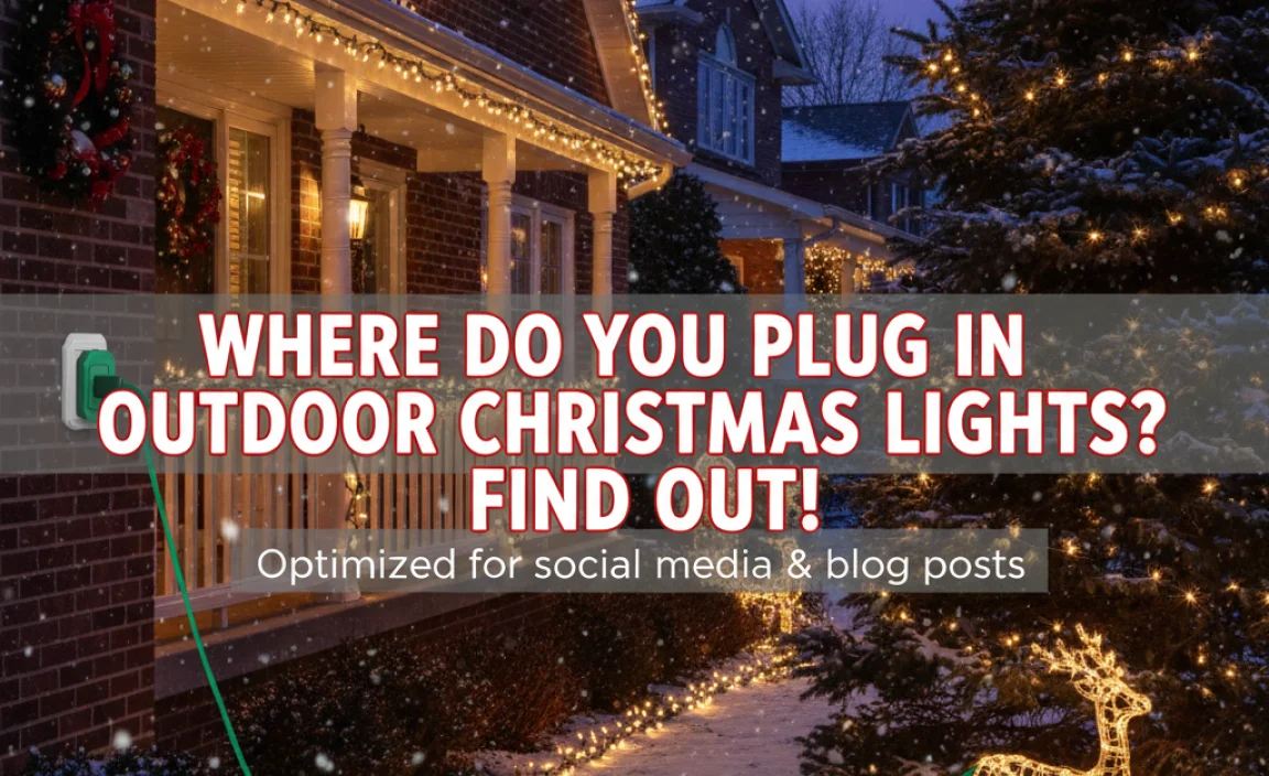 Where Do You Plug In Outdoor Christmas Lights? Find Out!