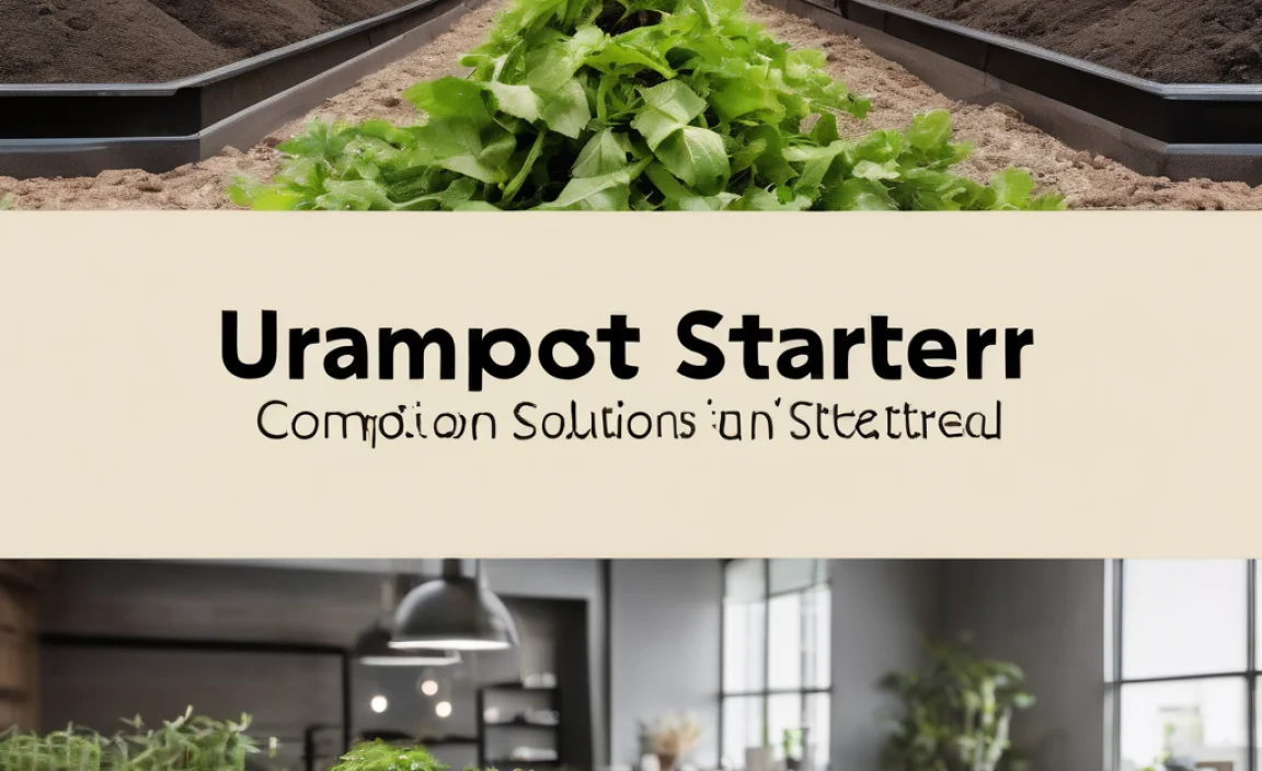 Compost Starter Urban: Genius Solutions Revealed