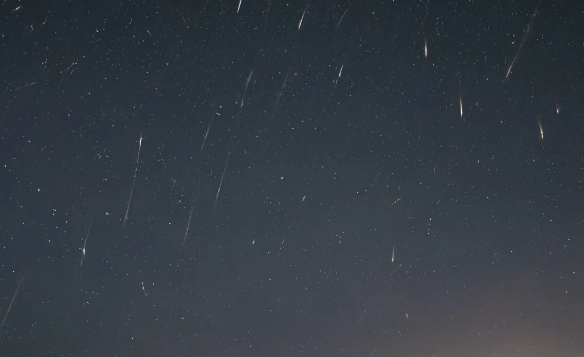 What Are Perseid Meteor Showers?