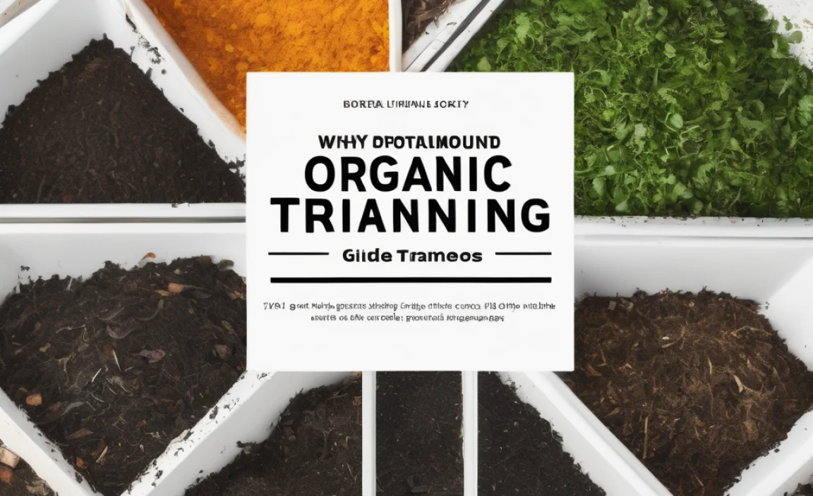 Why Organic Compost Training Matters