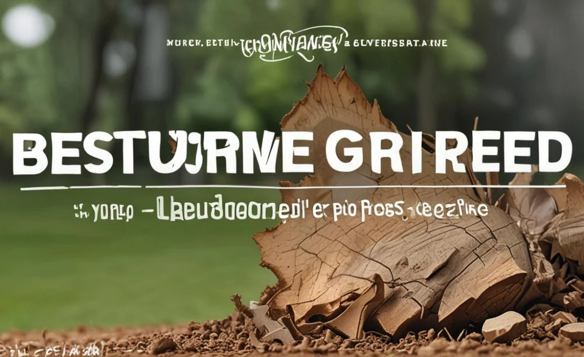 Best Stump Grinder Teeth 2025