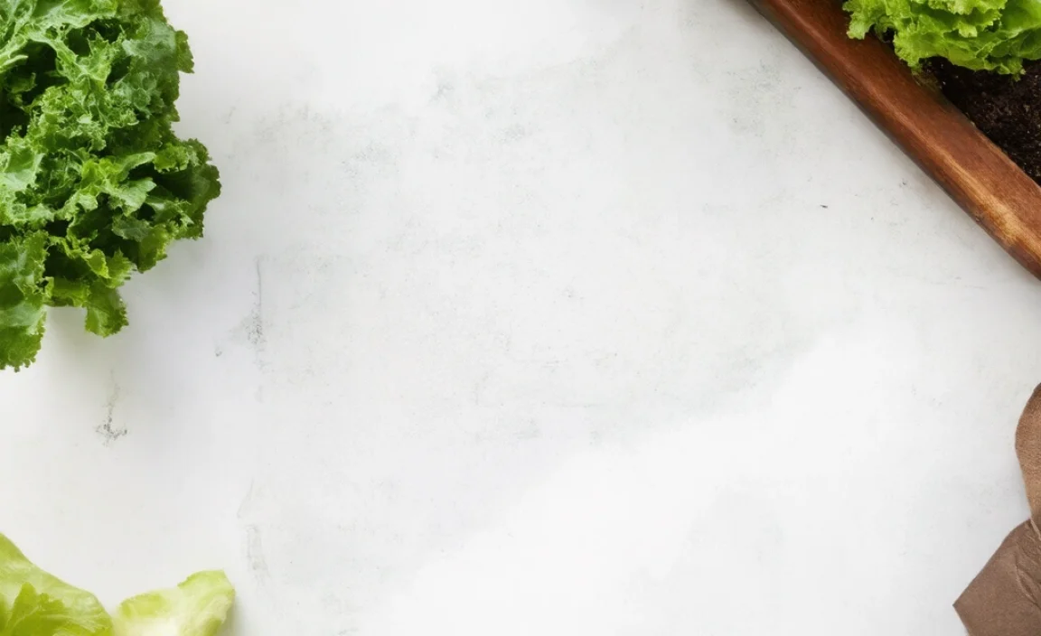 Choosing the Right Vegetables