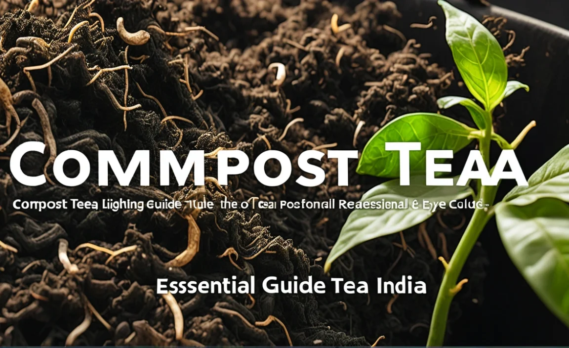 Compost Tea India: Essential Guide