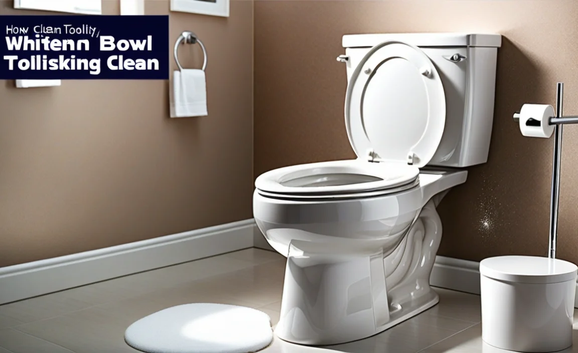 How To Whiten Toilet Bowl: Tips For A Sparkling Clean