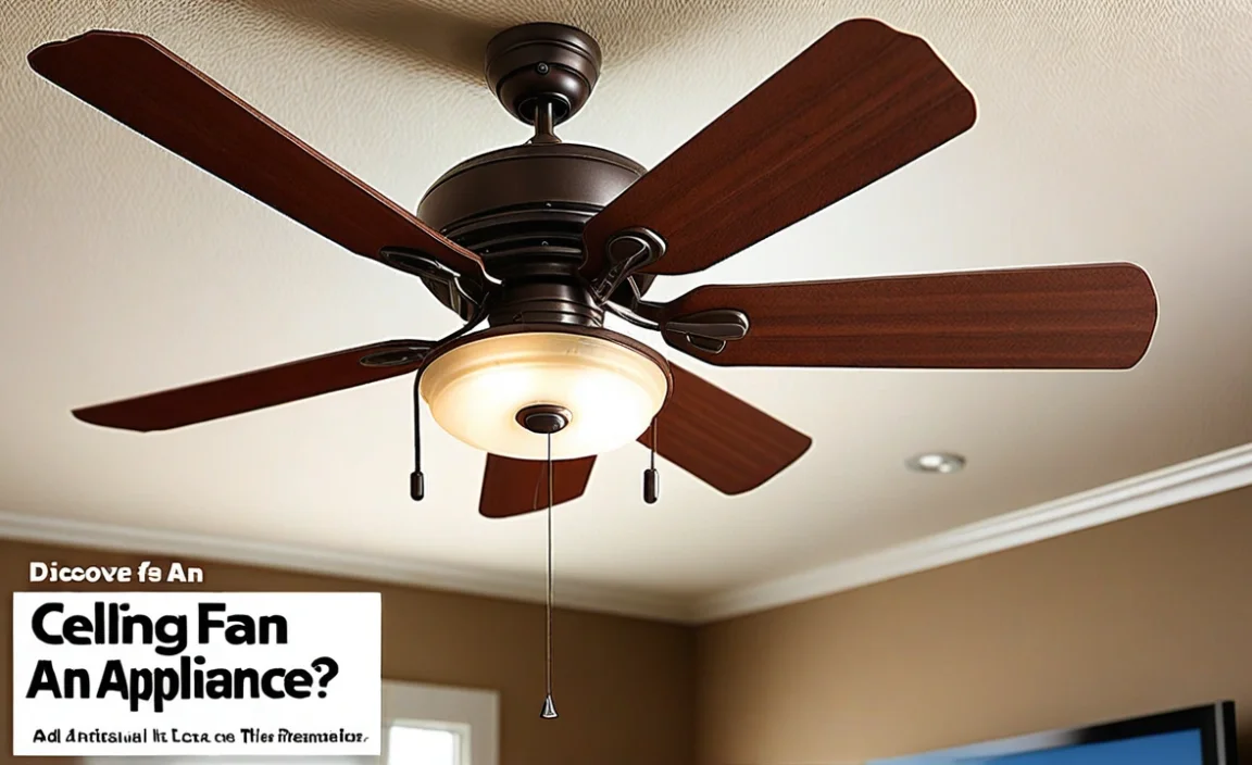 Is A Ceiling Fan An Appliance? Discover The Truth Here!