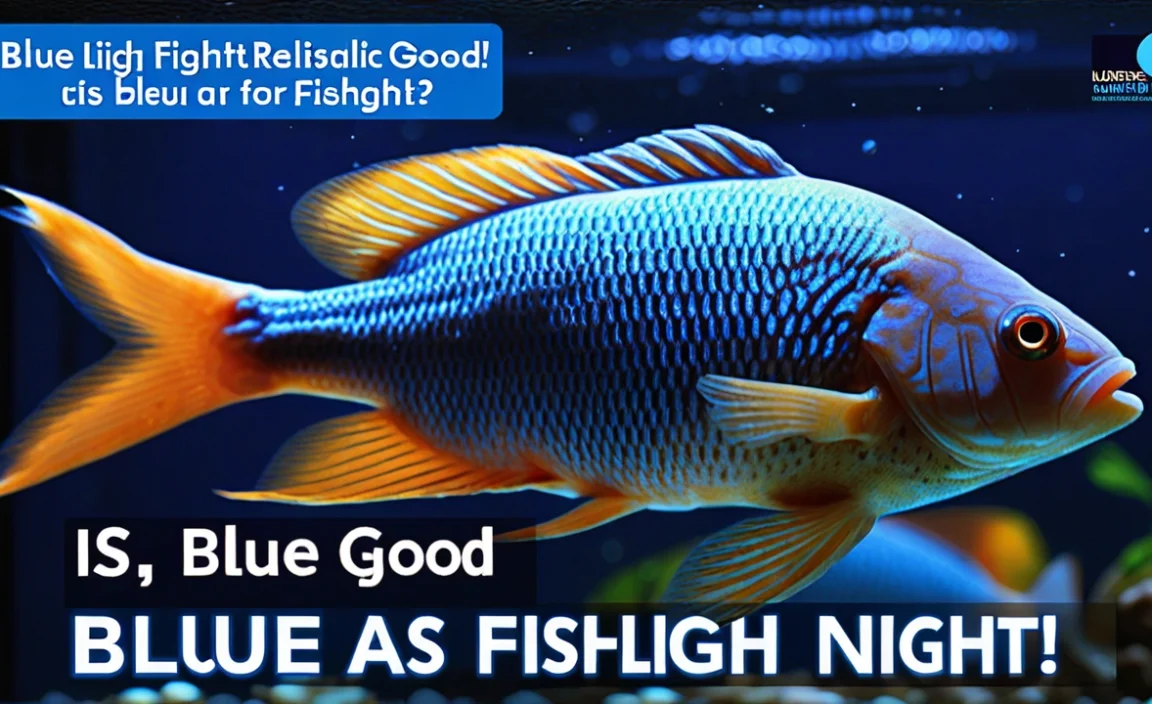 Is Blue Light Good For Fish At Night? Facts & Tips!