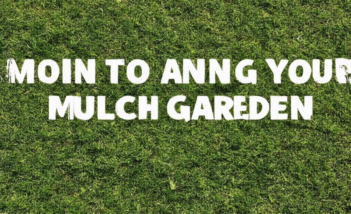 Maintaining Your Mulched Garden