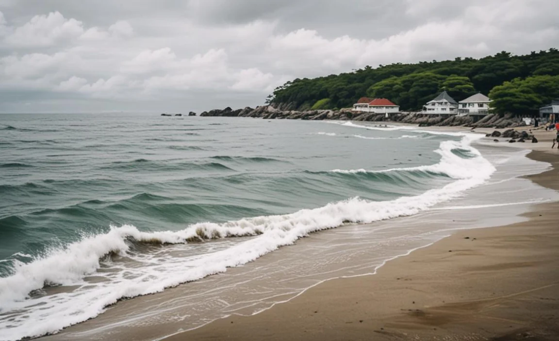 Technological Innovations in Disaster Management