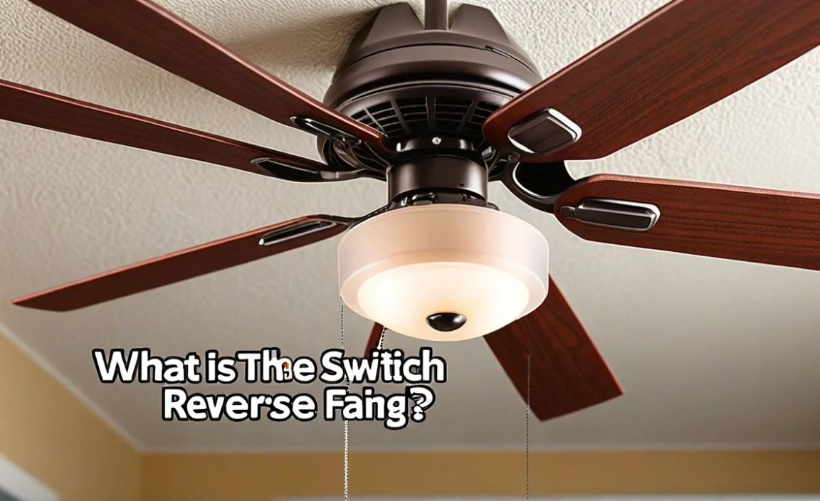 What Is The Reverse Switch On A Ceiling Fan For?