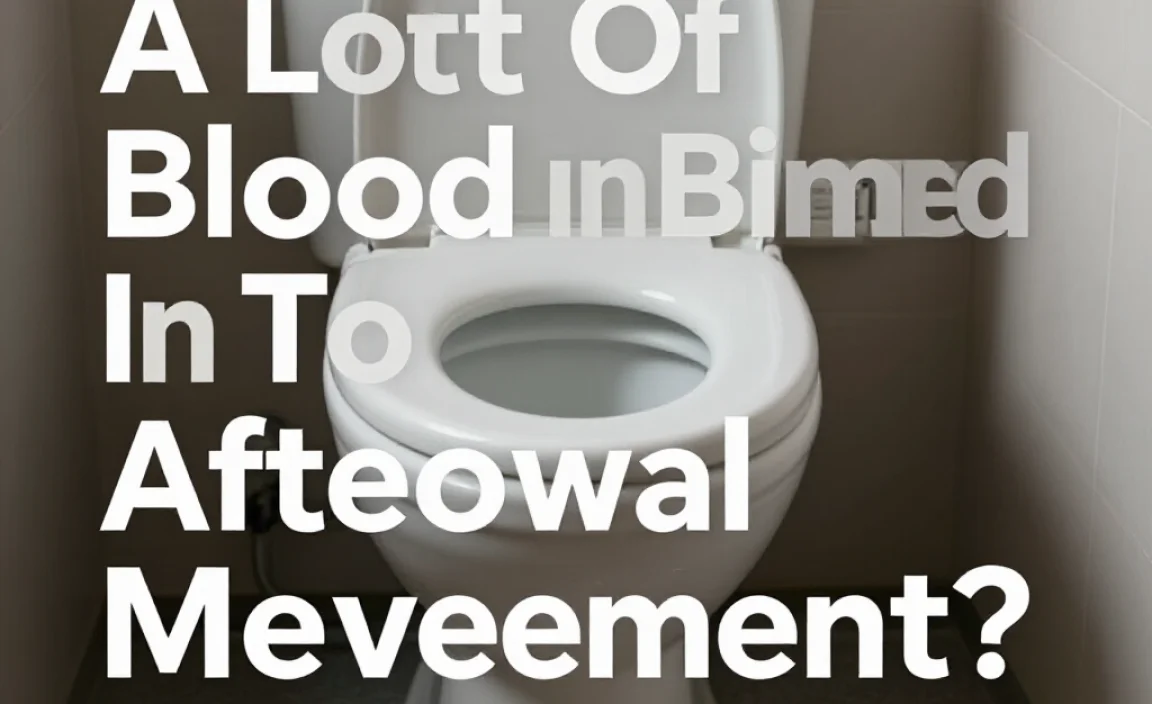 A Lot Of Blood In Toilet After Bowel Movement? Here’S Why!