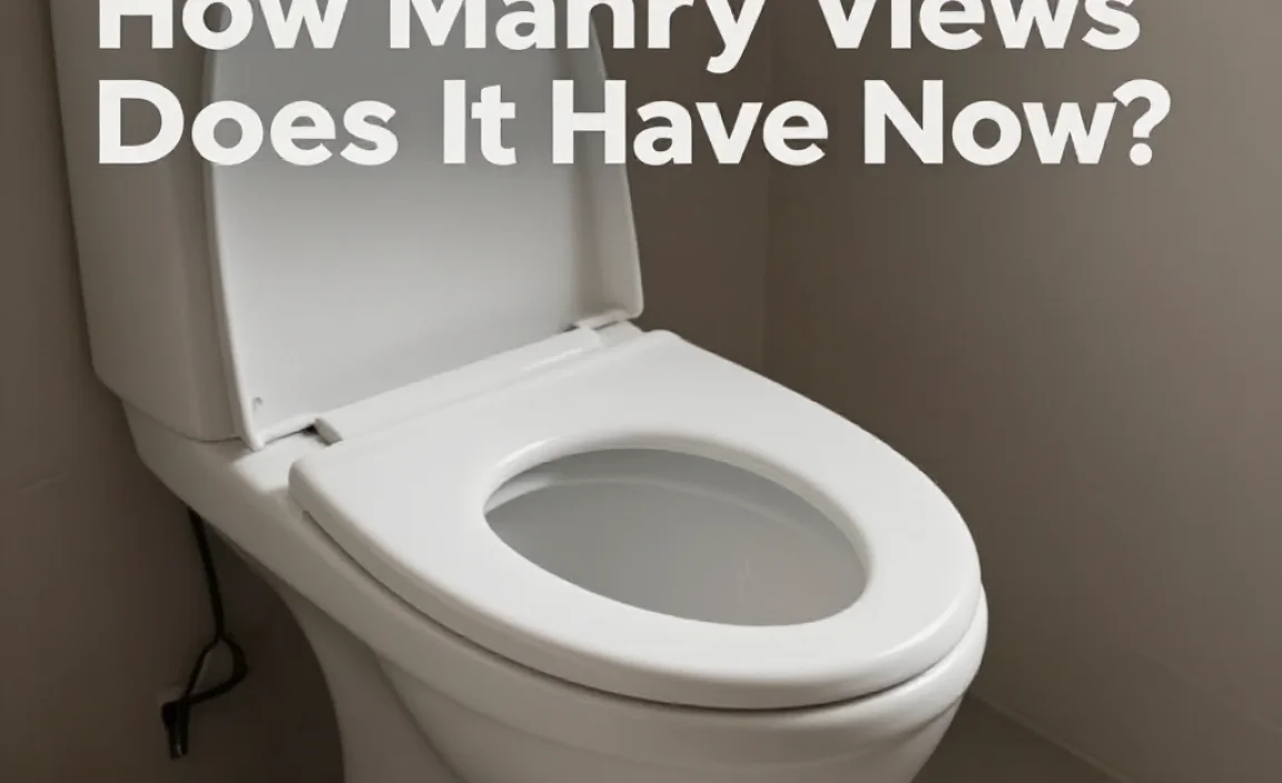 Analyzing Viewer Engagement