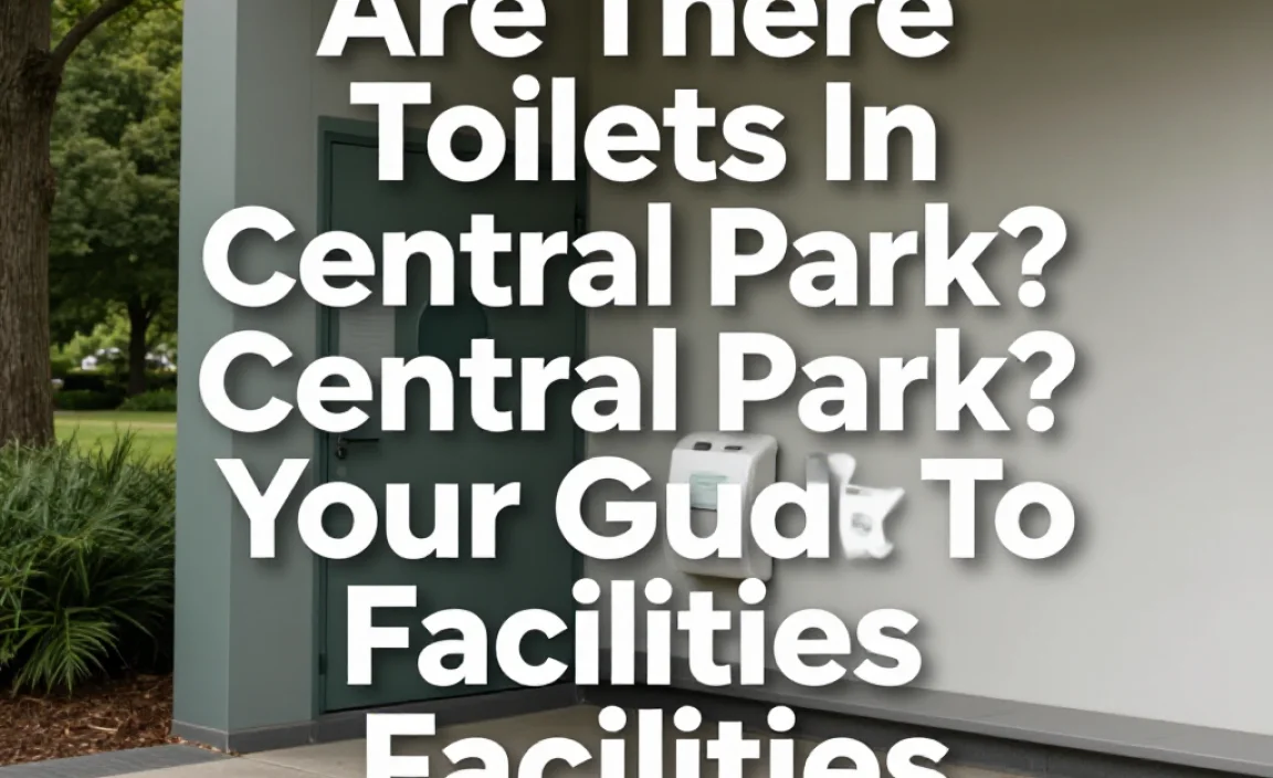 Are There Toilets In Central Park? Your Guide To Facilities