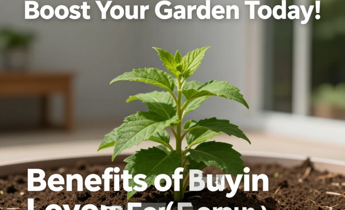 Benefits of Buying Local Compost