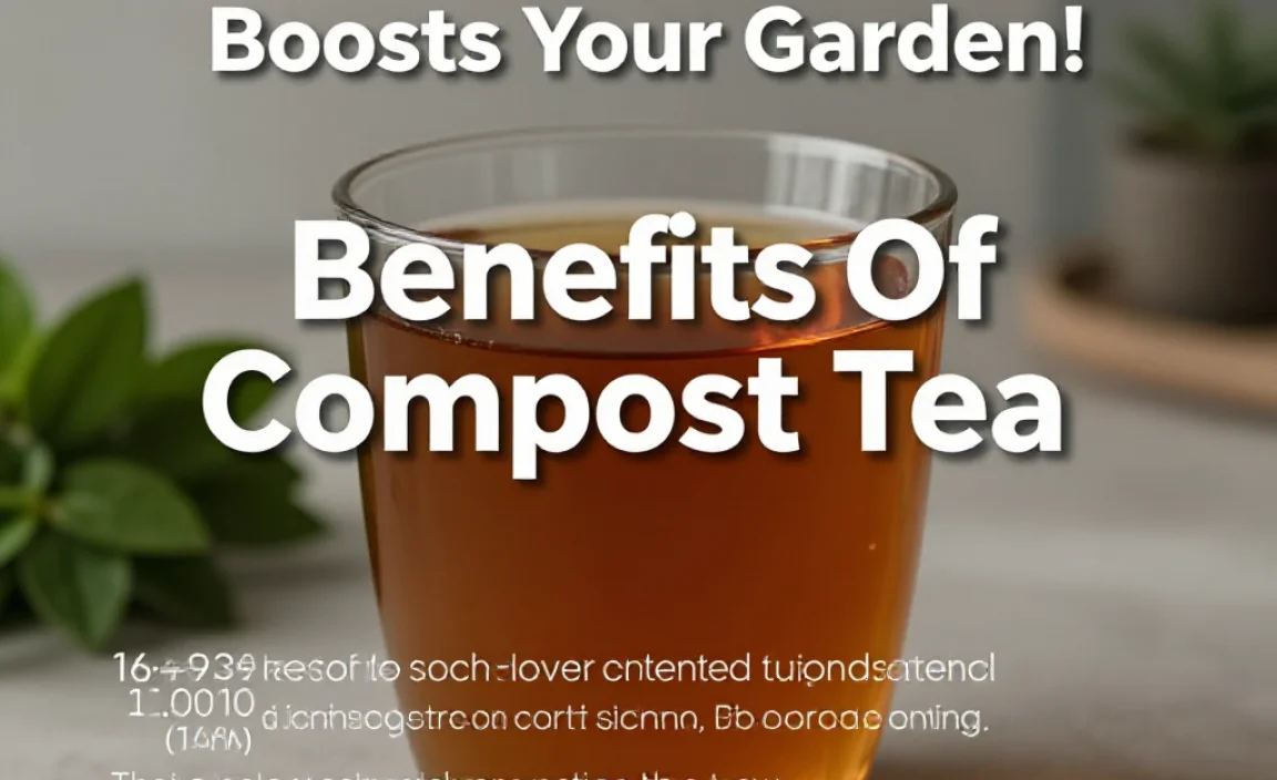 Benefits Of Compost Tea