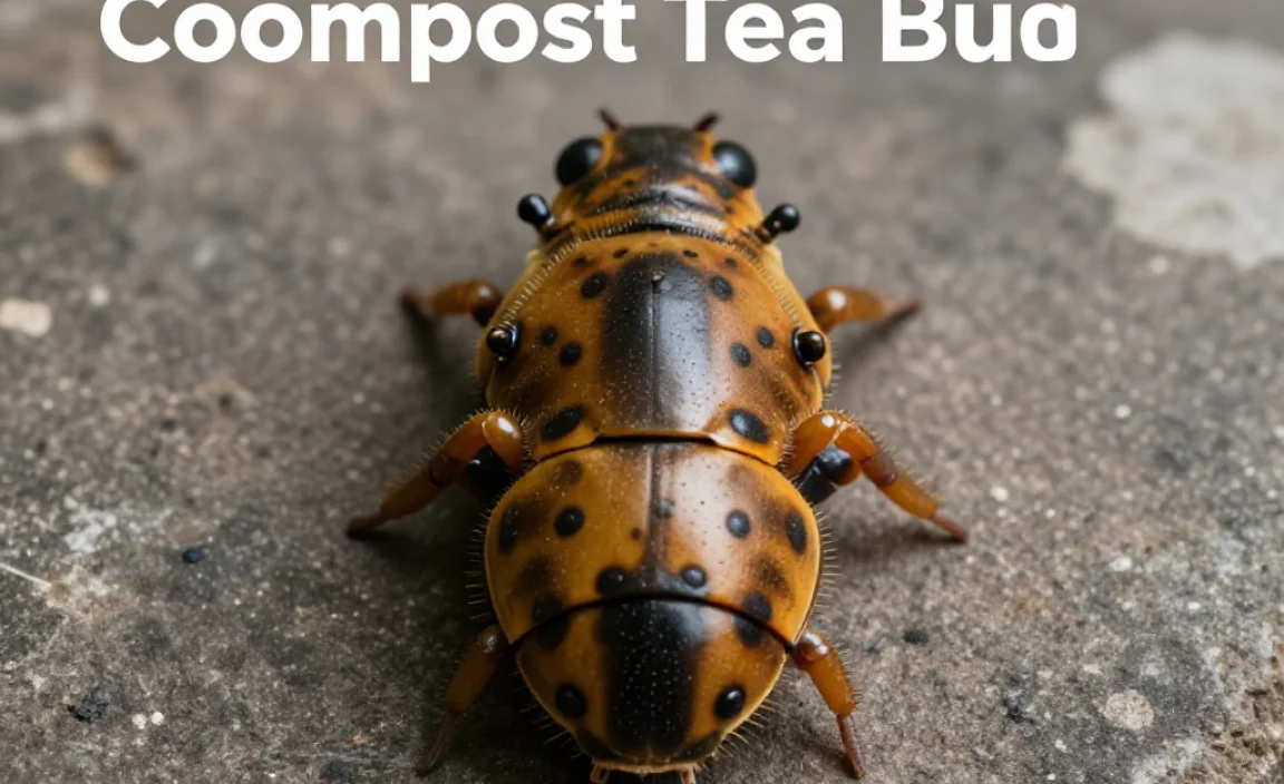 Benefits of Compost Tea Bugs