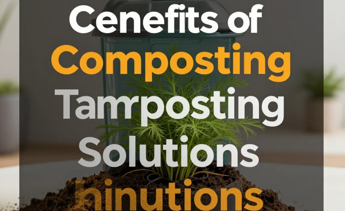 Benefits of Composting Solutions