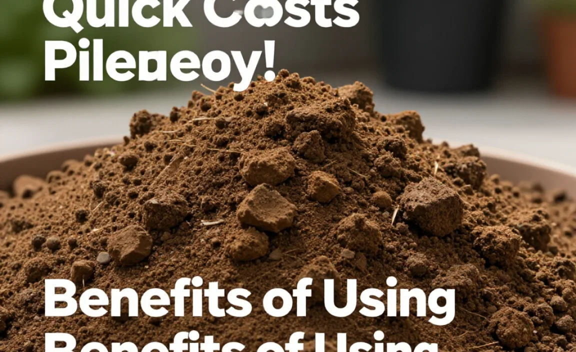 Benefits of Using Compost in Your Garden