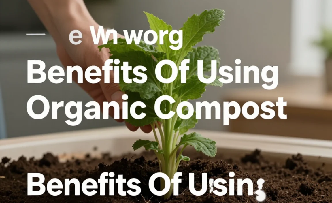 Benefits Of Using Organic Compost