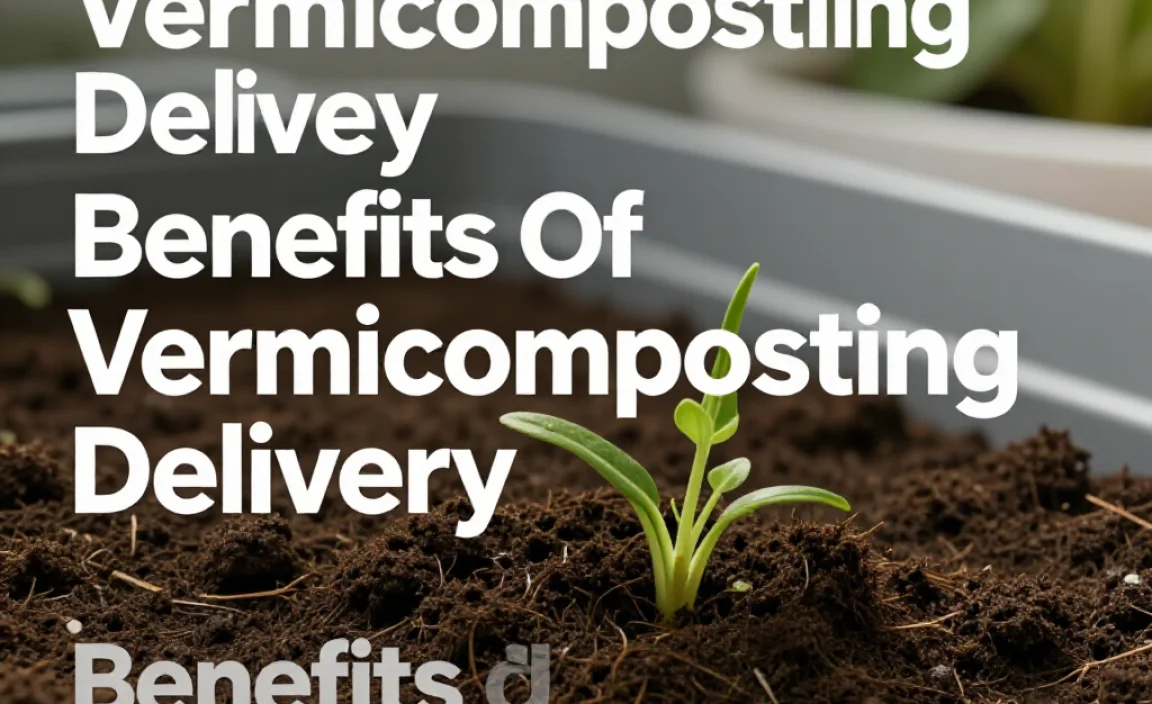 Benefits Of Vermicomposting Delivery