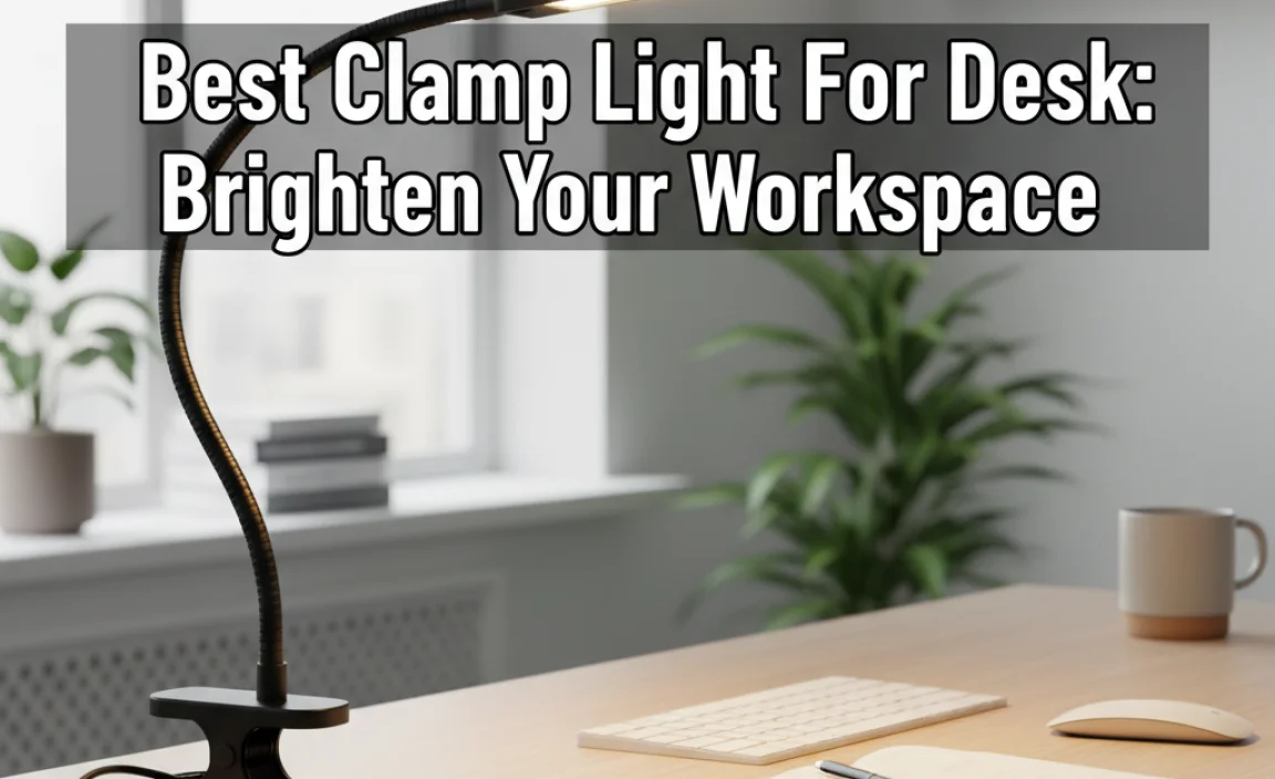 Best Clamp Light For Desk: Brighten Your Workspace