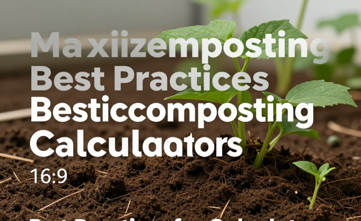 Best Practices for Using Calculators