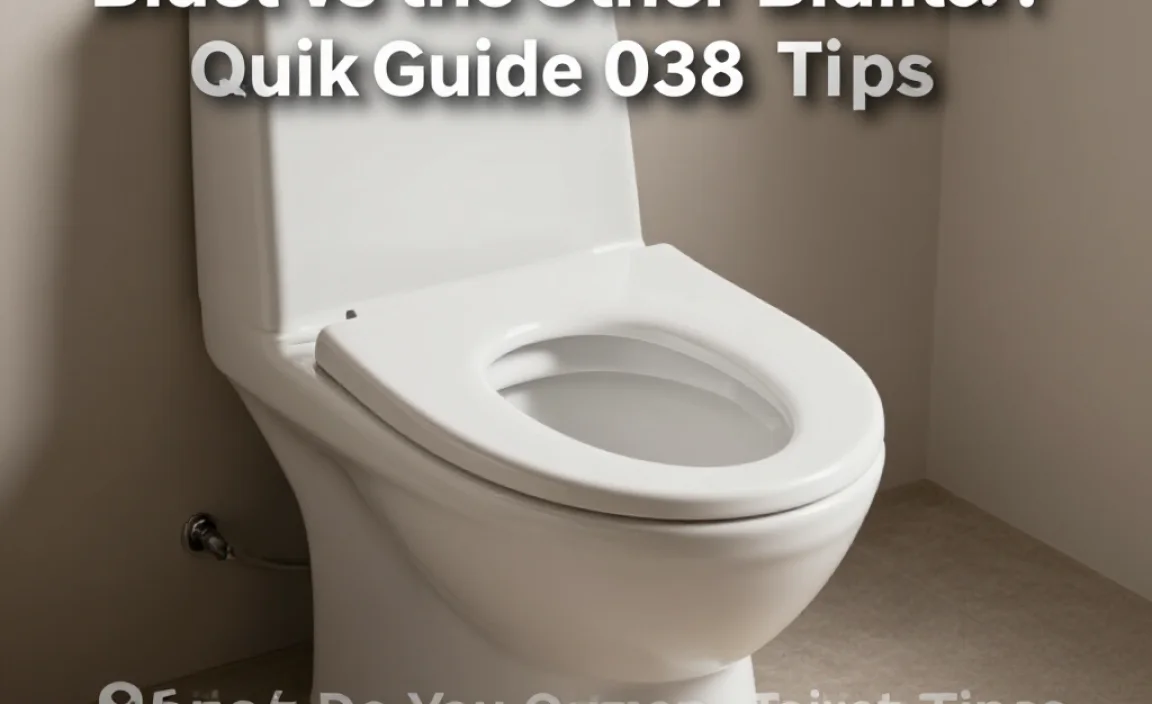 Bidet vs. Other Toilet Types