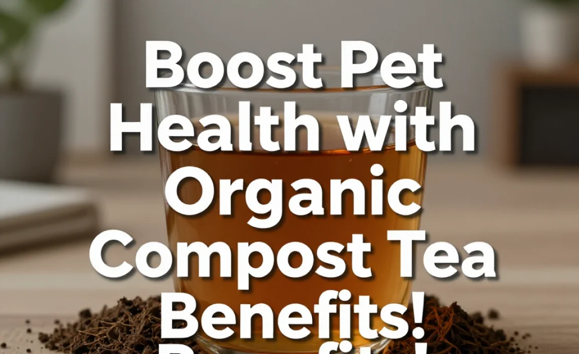 Boost Pet Health with Organic Compost Tea Benefits!