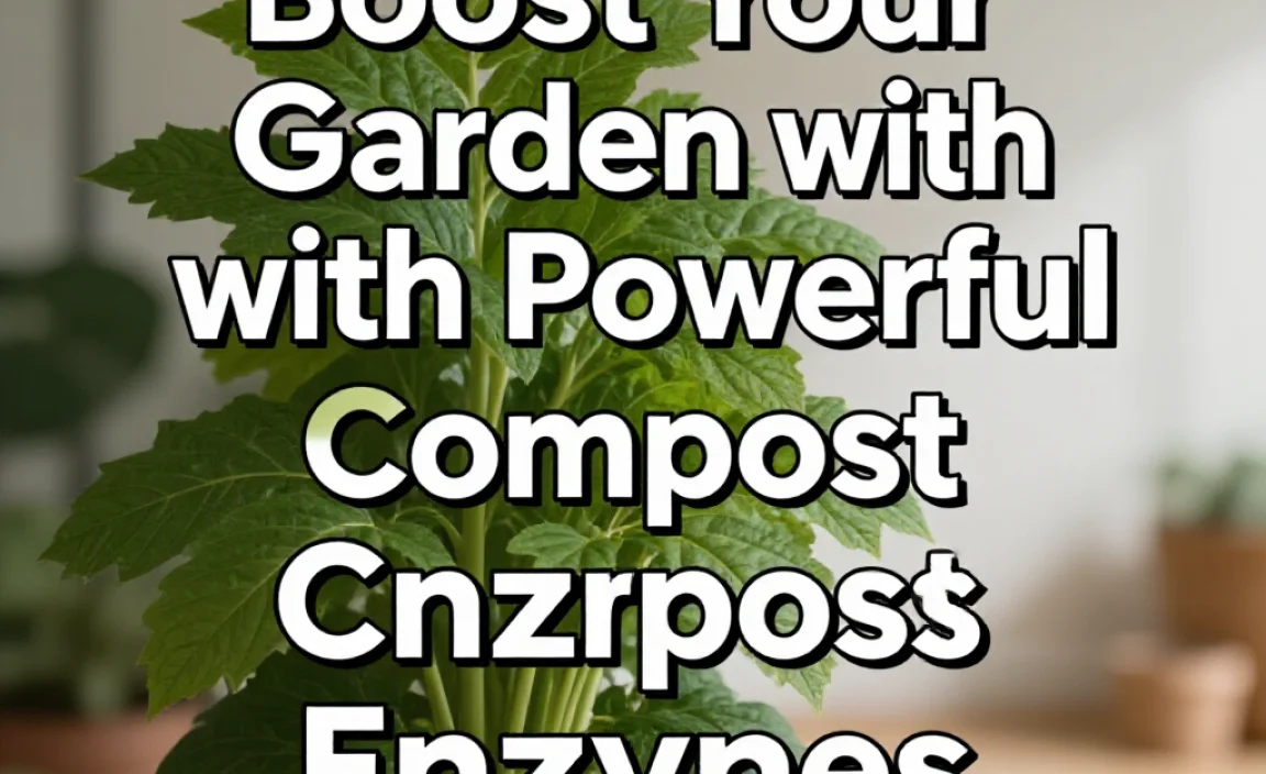 Boost Your Garden with Powerful Compost Enzymes