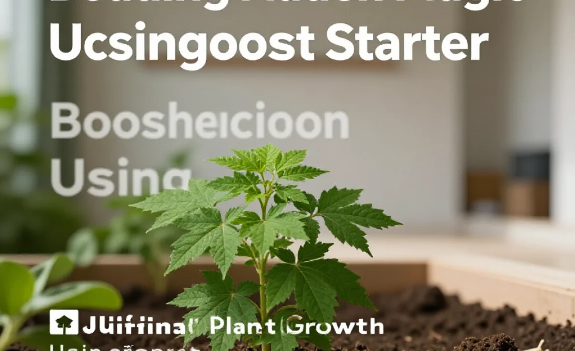 Boosting Plant Growth Using Compost