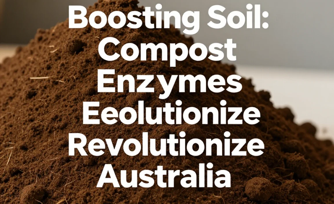 Boosting Soil: Compost Enzymes Revolutionize Australia