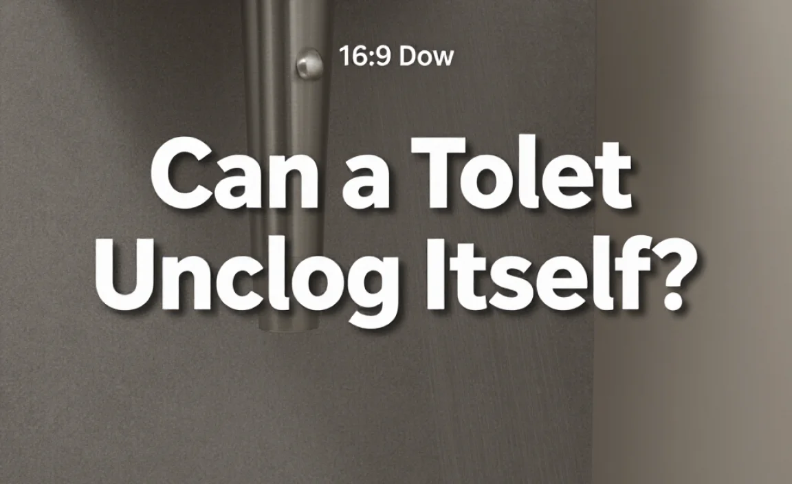 Can a Toilet Unclog Itself?