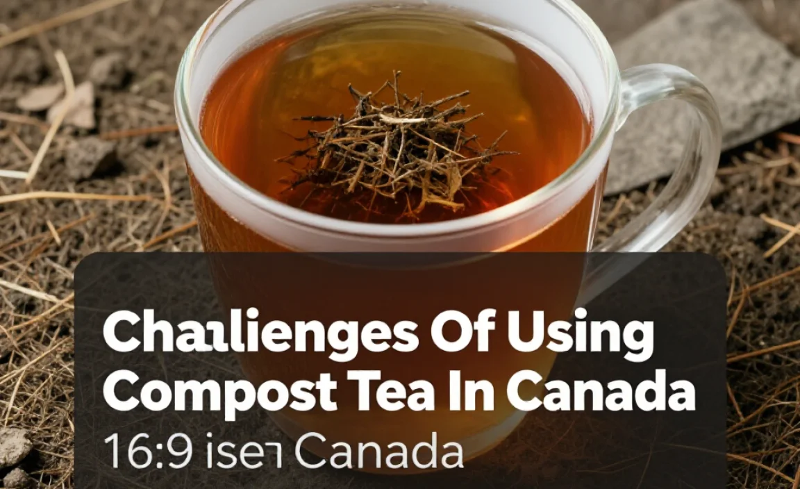 Challenges Of Using Compost Tea In Canada